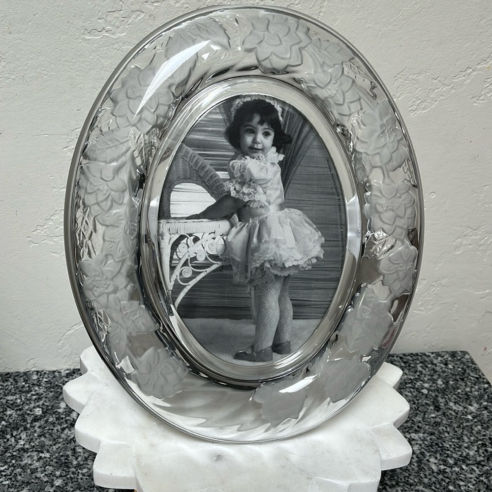 Taylor Fifth Avenue Crystal Oval Picture Frame New NIB Frosted 5x7 Photo Size